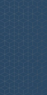 Вставка Mono Jasmine geometry sky 60x30