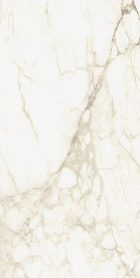 610010002745 Керамогранит Микеланджело Ворм 120x60 ColiseumGres