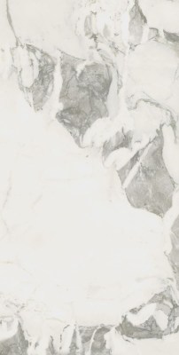 610010002746 Керамогранит Микеланджело Колд 120x60 ColiseumGres