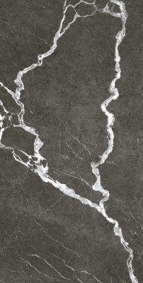 610010002747 Керамогранит Микеланджело Дарк 120x60 ColiseumGres