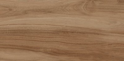 6260-0196 Керамогранит Шварц натуральный 60x30 LASSELSBERGER