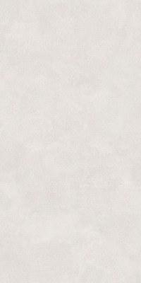 6493-0137 Керамогранит Иней светло-серый 120x60 Lasselsberger Ceramics