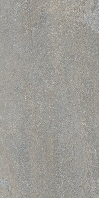 Керамогранит Про Нордик серый светлый обрезной 60x30