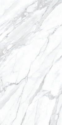 Монте Тиберио лаппатированный 238,5x119,5