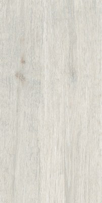 Керамогранит DW01 Dream Wood 60,9x30,6 матовый