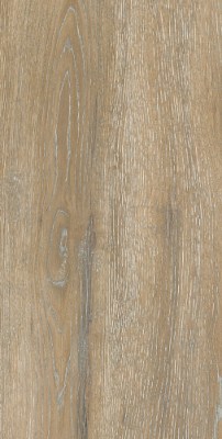 Керамогранит DW02 Dream Wood 60,9x30,6 матовый