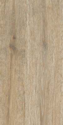 Керамогранит DW02 Dream Wood 60,9x30,6 матовый