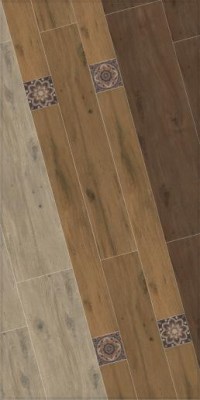 Вариант раскладки коллекции Сальветти