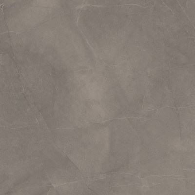 х9999293153 Керамогранит Splash Grey серый Сатинированный Карвинг 60x60 Laparet
